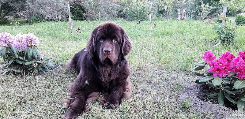 Фотография № 236063