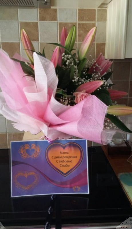 Фотография № 236066