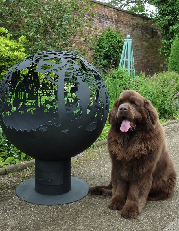 Фотография № 236073