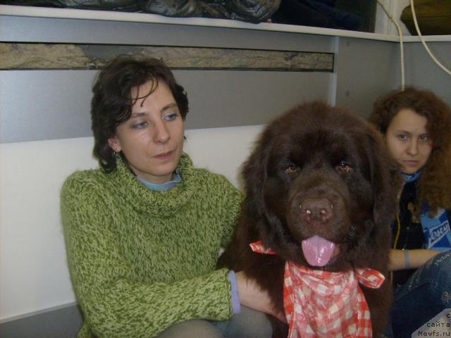 Фотография № 23608