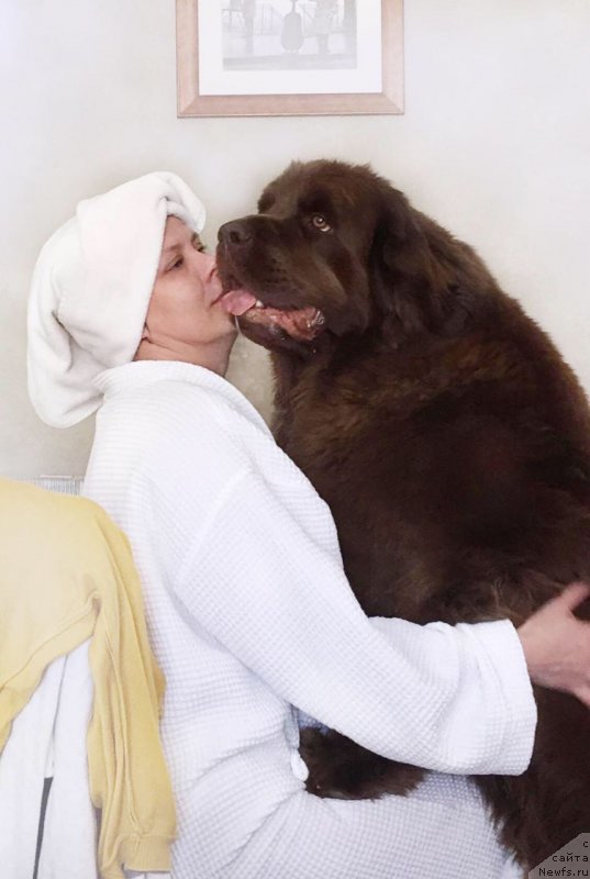 Фотография № 236084