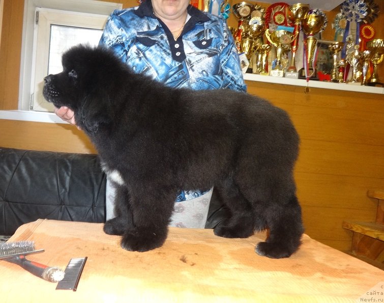 Фото: Ирина Панюшкина