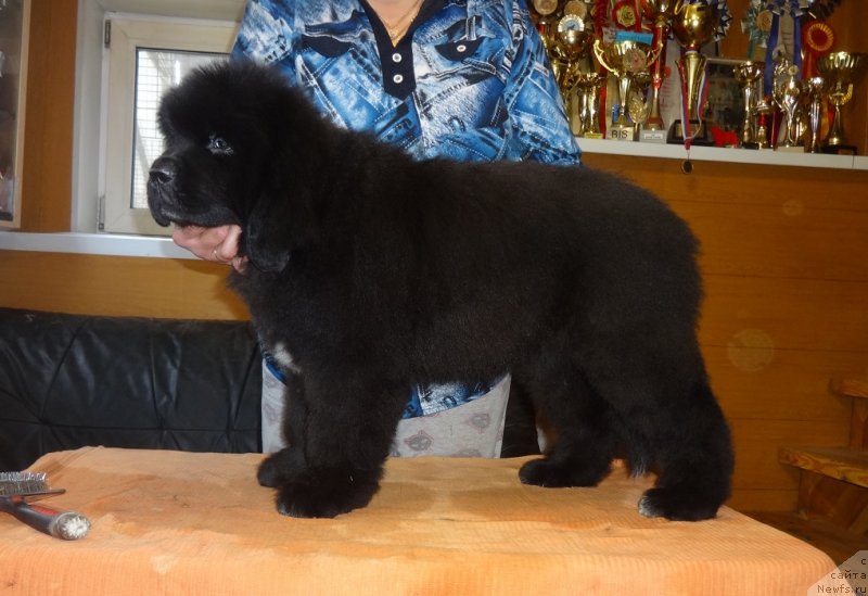 Фото: Ирина Панюшкина