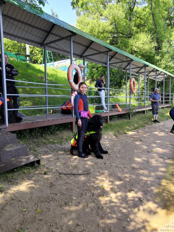 Фото: Виктория Нещерет