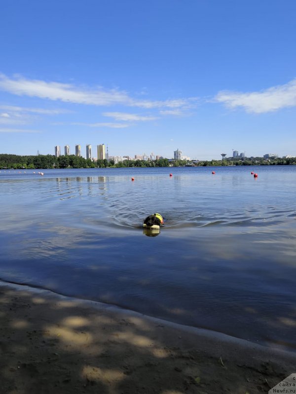 Фотография № 236104