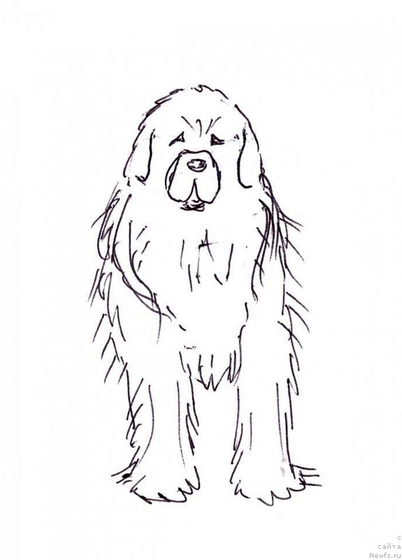 Фотография № 236117