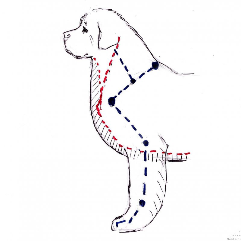 Фотография № 236120