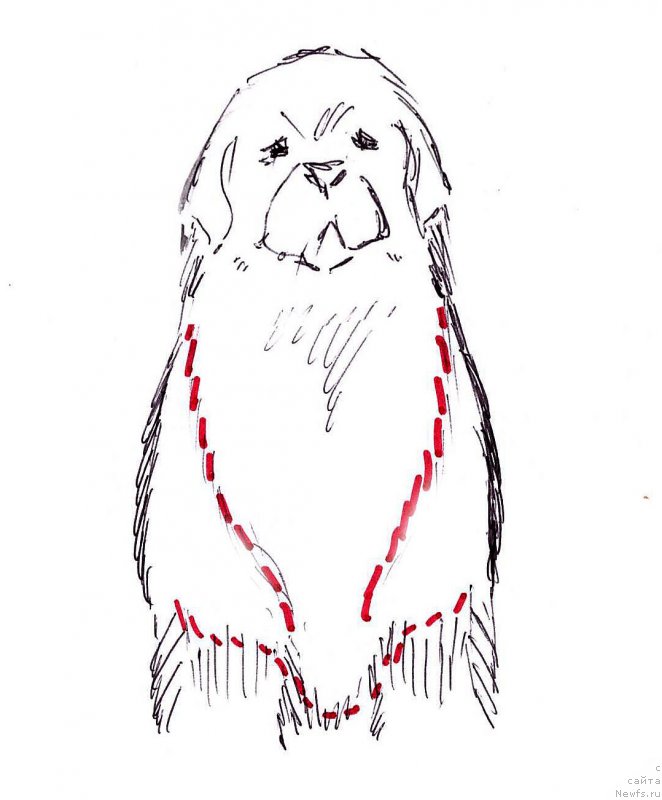 Фотография № 236122