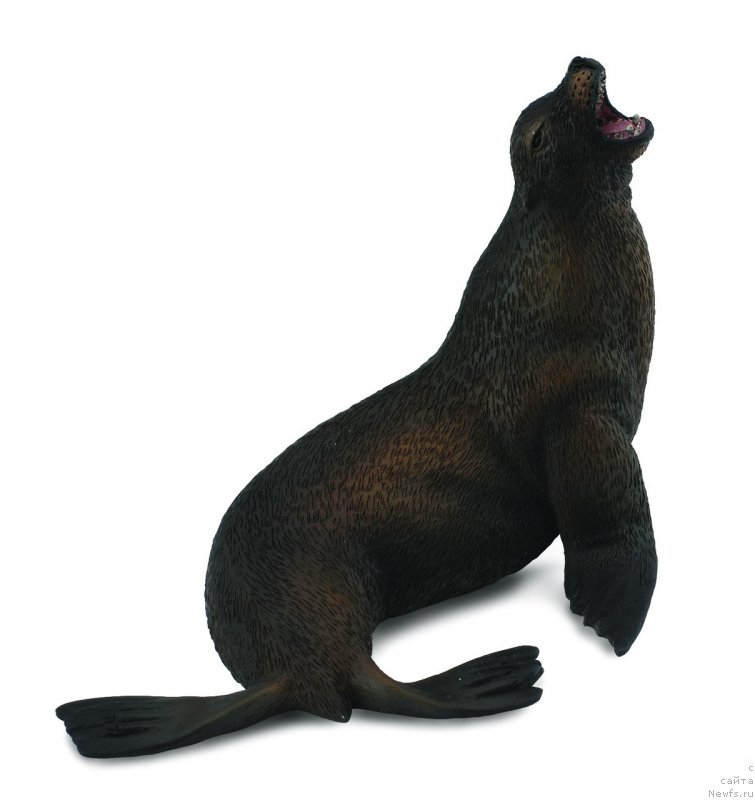 Фотография № 236126