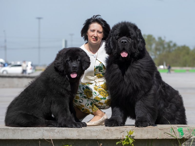 Фотография № 236129