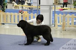 Фотография № 236130