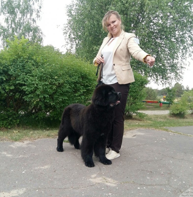 Фотография № 236144