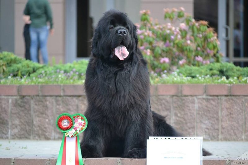 Фотография № 236148