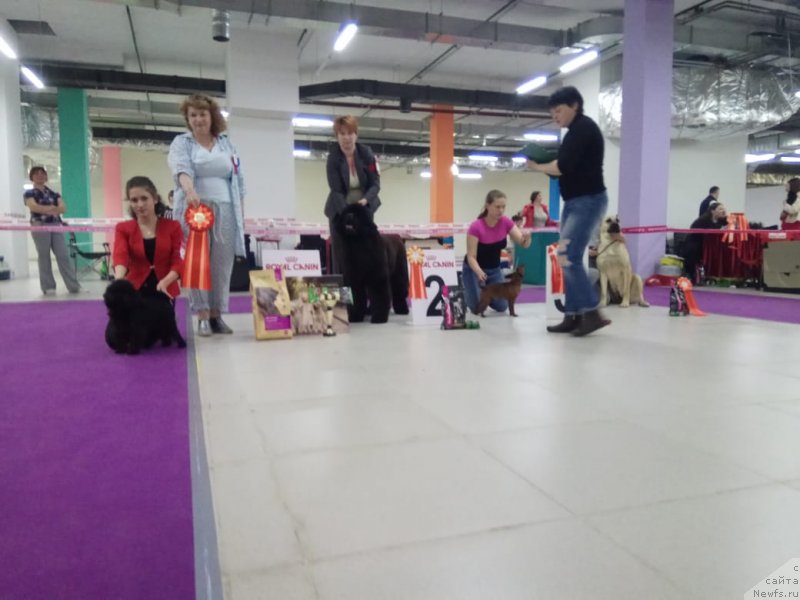 Фотография № 236149