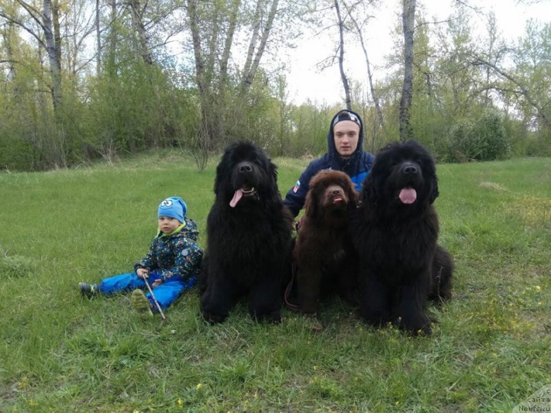 Фотография № 236152