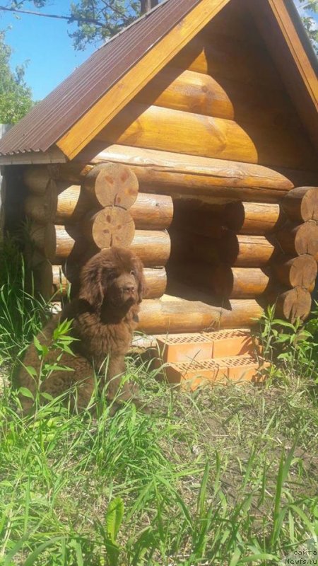 Фотография № 236154