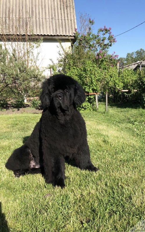 Фотография № 236155