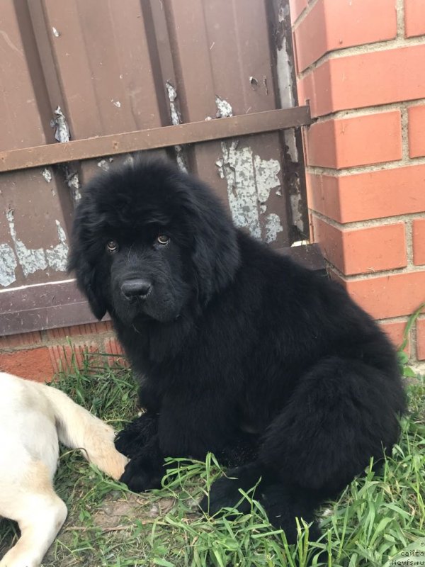 Фотография № 236157