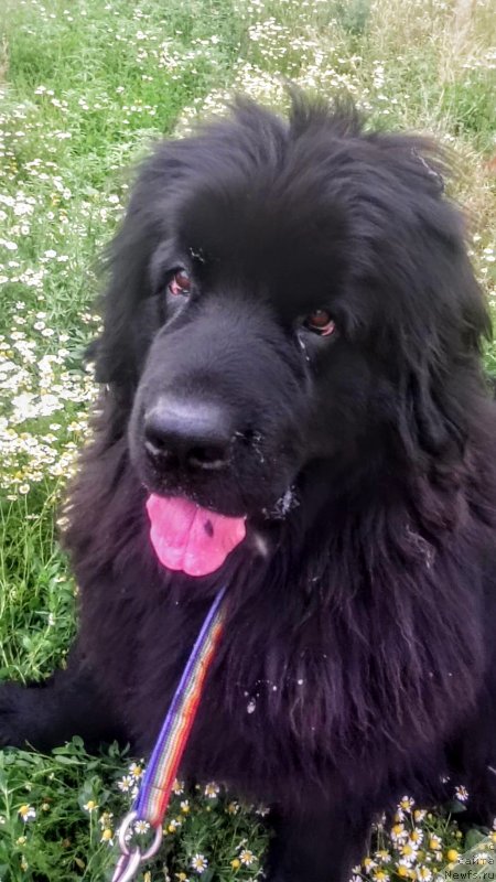 Фотография № 236166