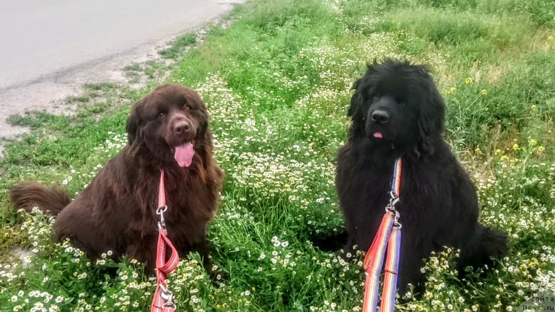 Фотография № 236167