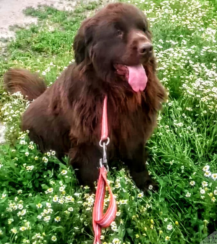 Фотография № 236169