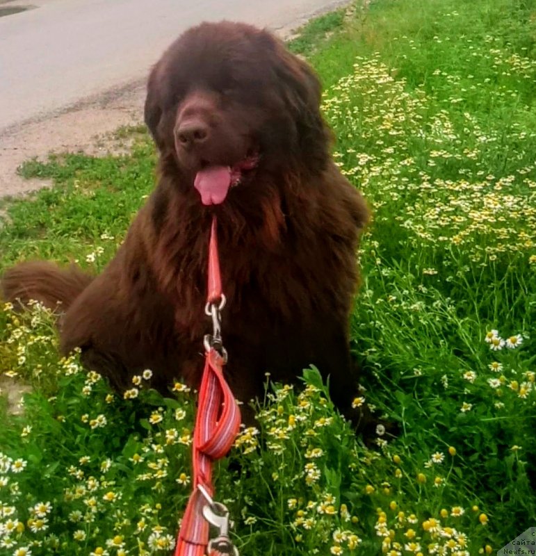 Фотография № 236170