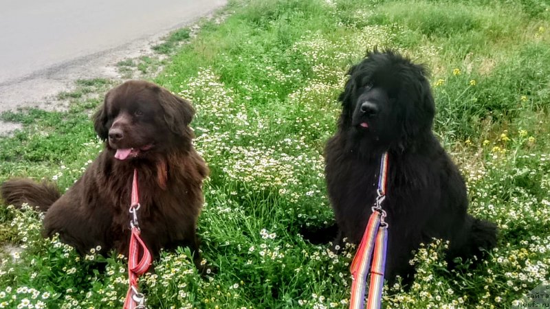 Фотография № 236171