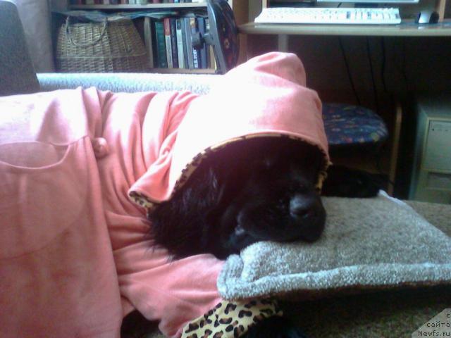 Фотография № 23618