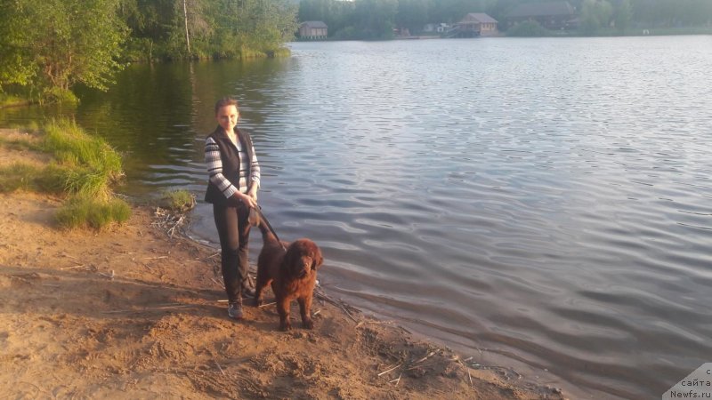 Фотография № 236186