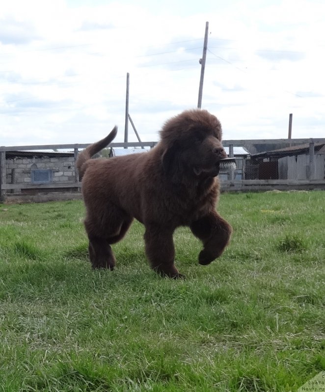 Фотография № 236187