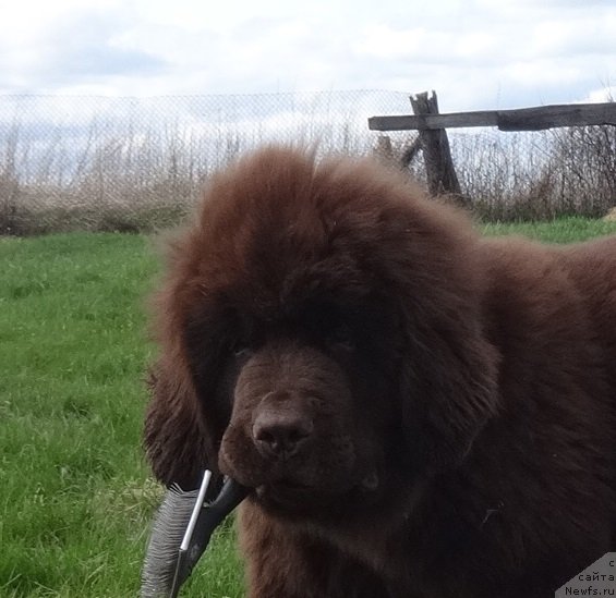 Фотография № 236188