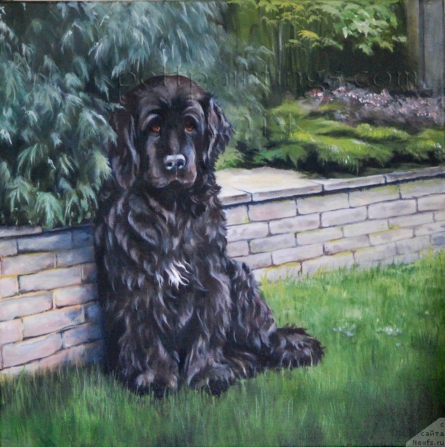 Фотография № 236202