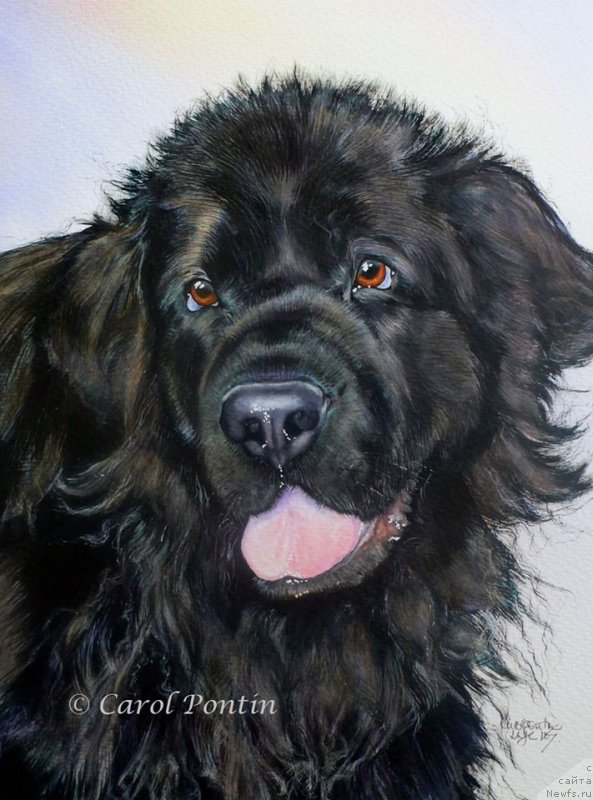 Фотография № 236208