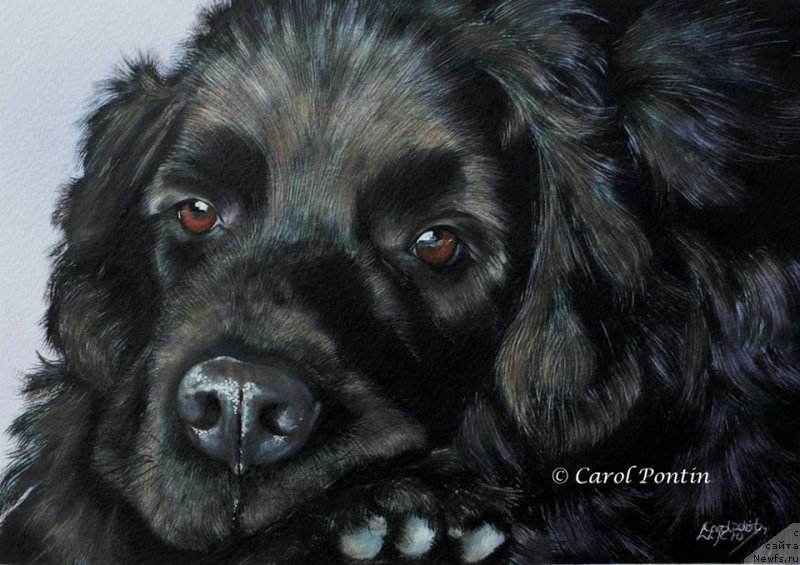 Фотография № 236209