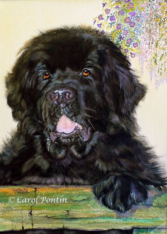 Фотография № 236211