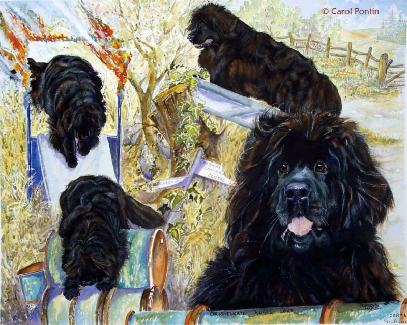 Фотография № 236215