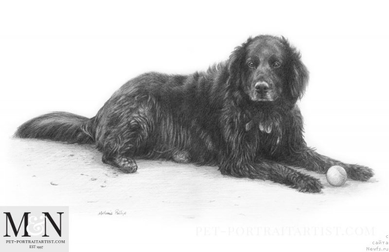 Фотография № 236221