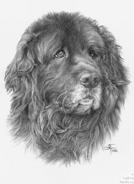 Фотография № 236222