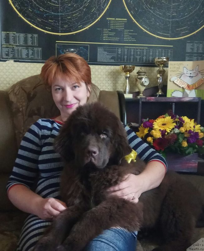 Фотография № 236234