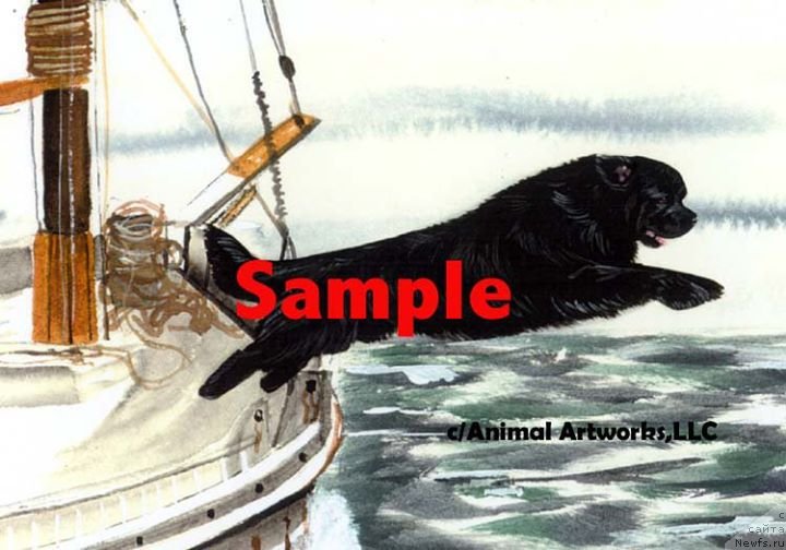 Фотография № 236236