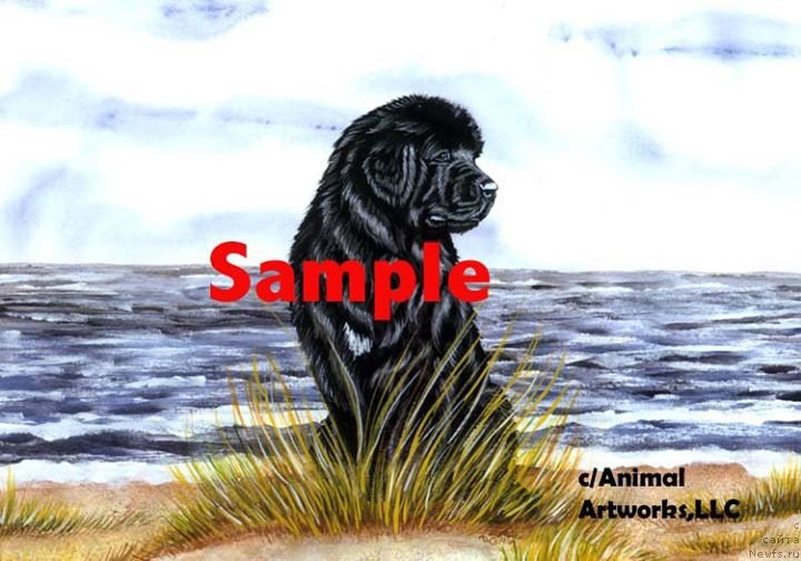 Фотография № 236240