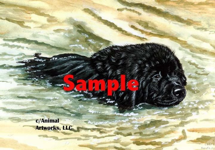 Фотография № 236247