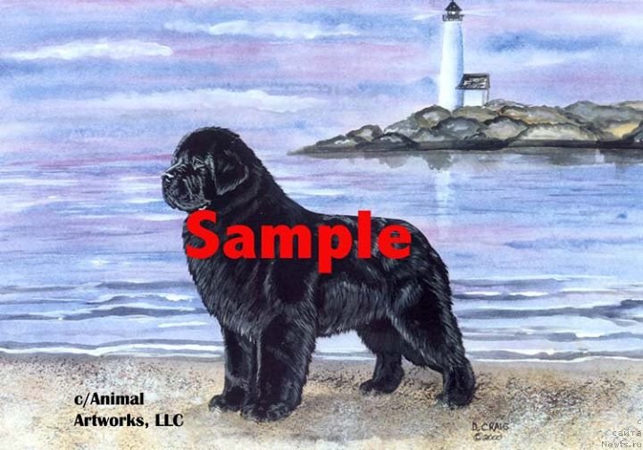 Фотография № 236253