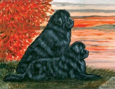 Фотография № 236254