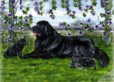 Фотография № 236266