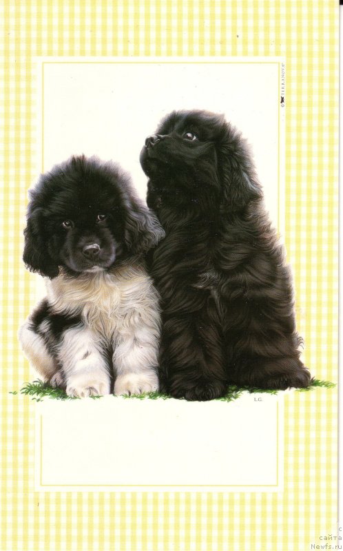 Фотография № 236267