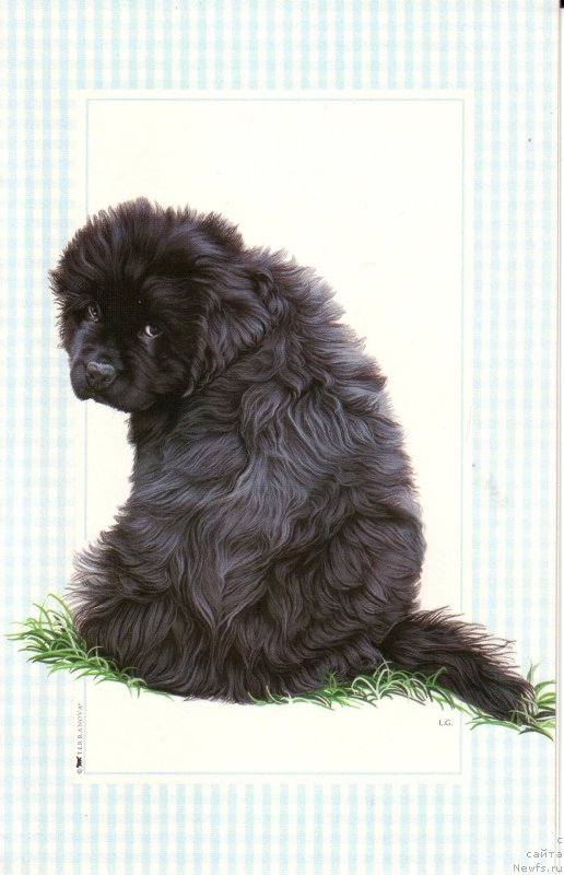 Фотография № 236270