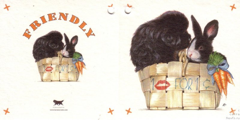 Фотография № 236273