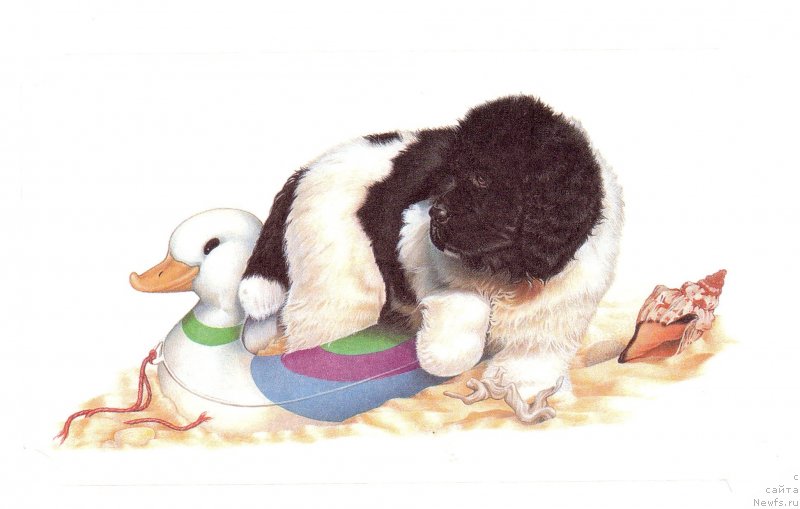 Фотография № 236276