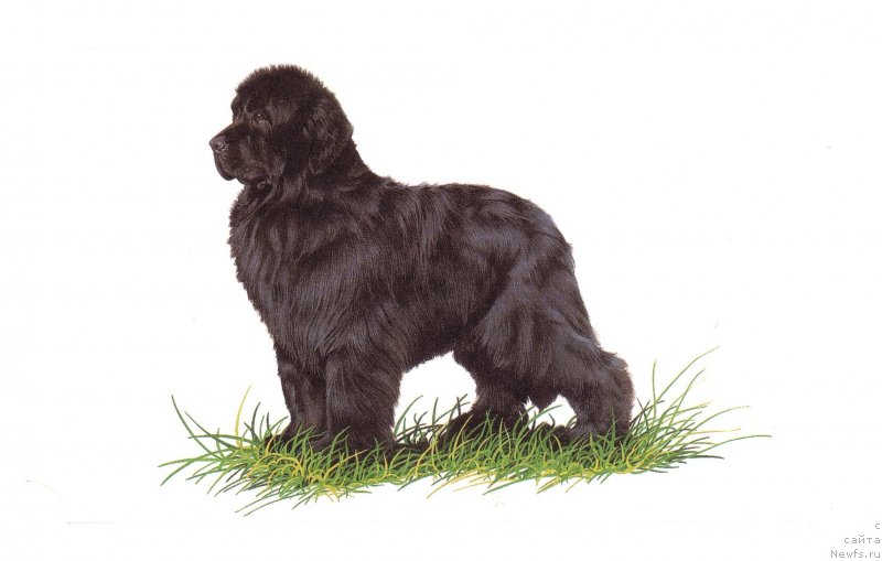 Фотография № 236277